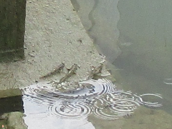 250505