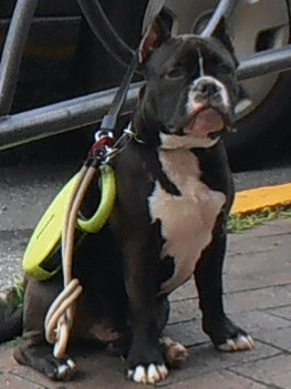 250522