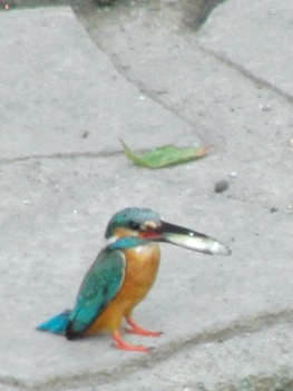250627