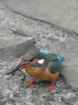 250711